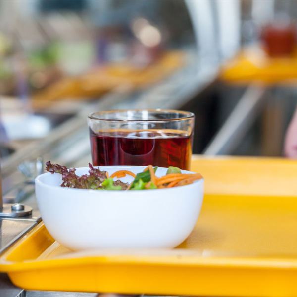 Kostenloses Stock Foto zu appetitlich, blatt, durchsichtig